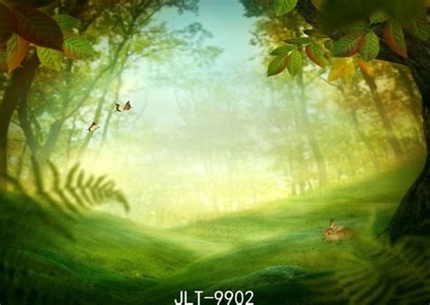 Sjoloon Children Summer Theme Natural Photo Background Forests Dawn