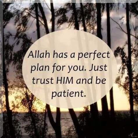 In surah yousuf, allah explained that the good news shall not be. Allah has perfect plan for you (With images)