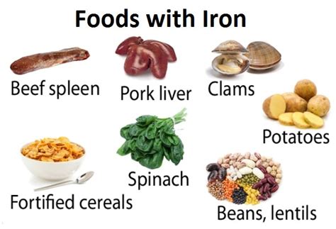 Foods With Iron Iron Rich Food