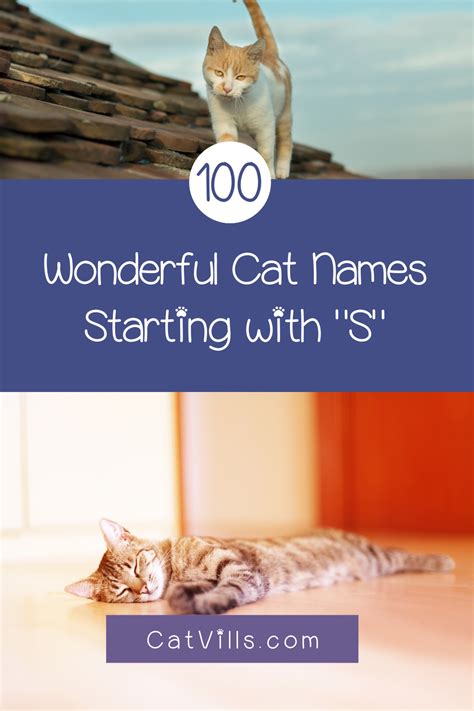 Means christmas in croatian, a diminutive of bog meaning god. Cat Names Starting with S in 2020 (With images) | Cat ...