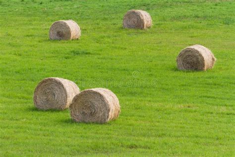 Hay Bale Stock Photo Image Of Straw Harvesting Agriculture 63182242