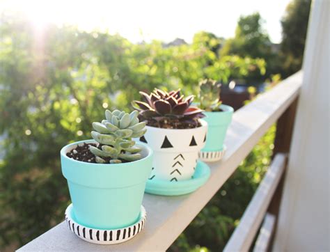 Diy Succulent Pots One To Nothin