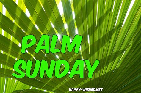 Palm Sunday 2019 Images