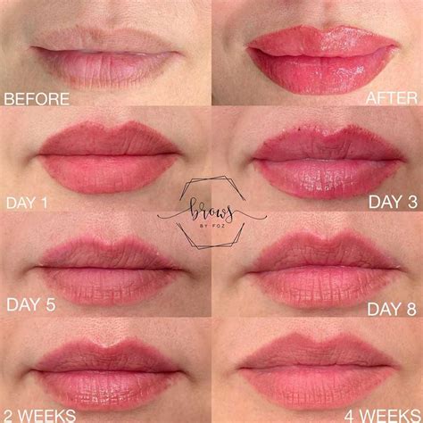 Lip Blush Healing Process Day By Day Timeline And Stages