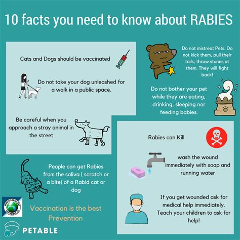 Rabies What You Need To Know Petable