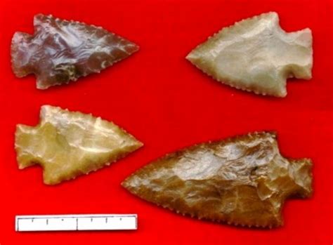 Museum Collection Of Personal Indian Artifacts And Arrowhead Points