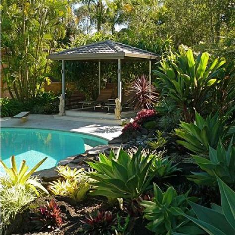 51 Best Tropical Landscaping Ideas Images On Pinterest