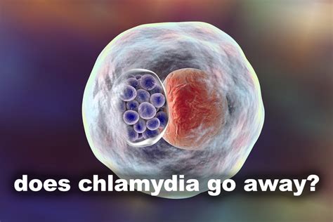 Does Chlamydia Go Away Stdgov Blog