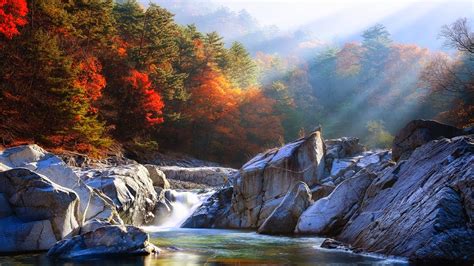 River Between Rocks Water Stream Surrounded By Colorful Autumn Trees
