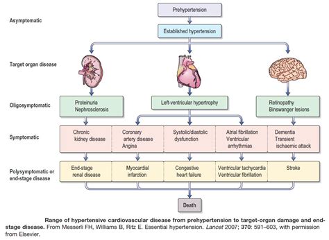 Range Of Hypertensive Cardiovascular Disease From Prehypertension