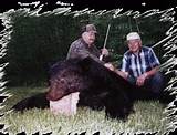 Ontario Bear Outfitters