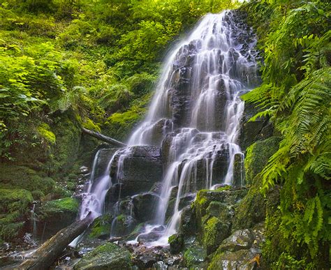 Fairy Falls And Ferns Columbia Gorge Robert Faucher Photography