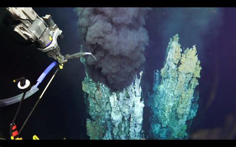 Unexplored Ocean Depths Bustling With Life Despite Extreme Conditions
