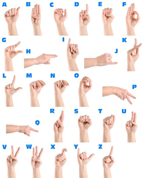 Sign Language Sign Language Alphabet American Sign Language Sign