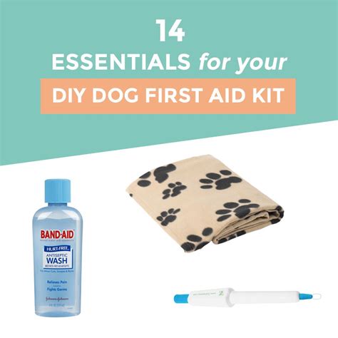 14 Essentials For Your Diy Dog First Aid Kit Diy Dog Stuff First Aid