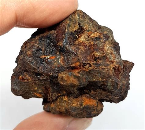 Sericho New Pallasite From Kenya Stony Iron Meteorite Catawiki