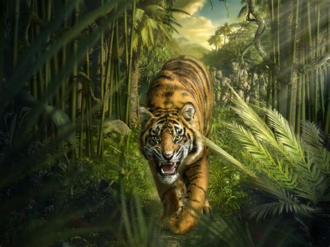 Download Wallpaper For 2560x1080 Resolution Tiger Jungle Bamboo Hd