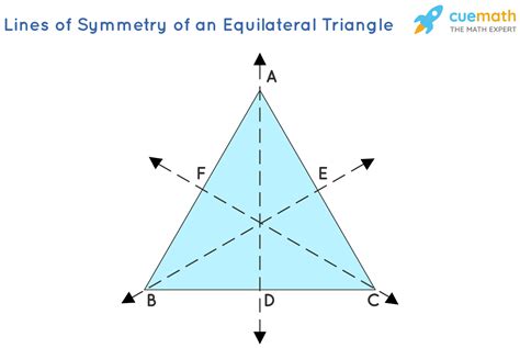 How Many Lines Of Symmetry Does A Triangle Have ️ Best Content ️