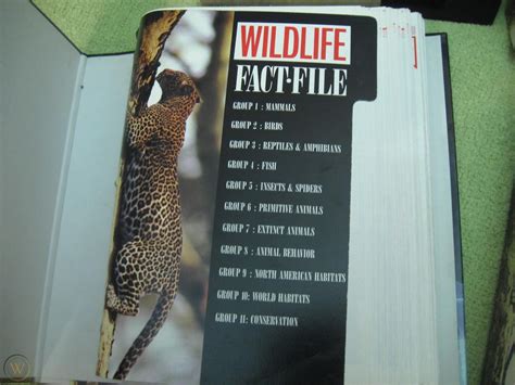 Wildlife Fact File Cards 4 Binders Animal 450 Education Homeschool
