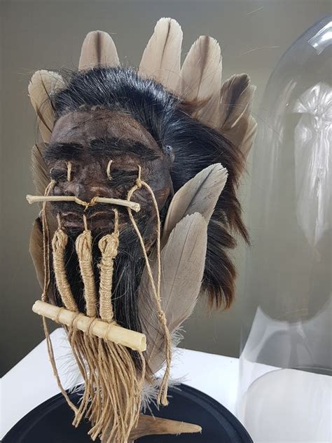Hervorragende Replik Jivaro Shrunken Head Totem Auf Catawiki