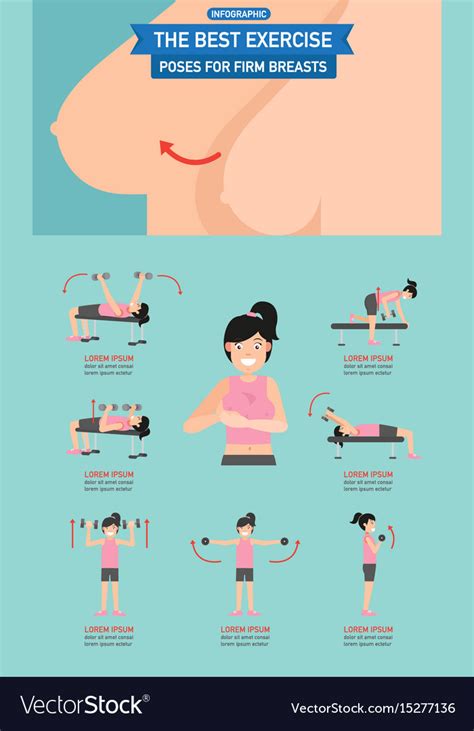 best exercise poses for firm breasts royalty free vector