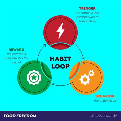 The Habit Loop & Neuroplasticity - Mind Over Munch