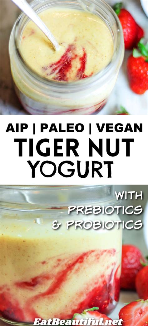 Naturally Sweet And Dairy Free Tigernut Yogurt Is Paleo Vegan AIP