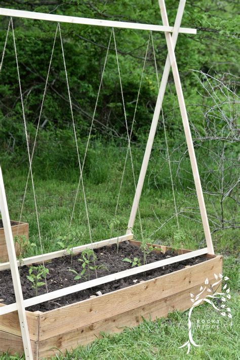 Easy Diy String Tomato Trellis Rocky Hedge Farm Simple Living From