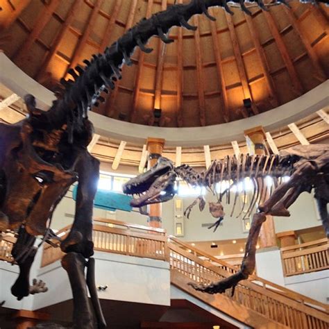 Jurassic Park Discovery Center Orlandoda Bilim Müzesi