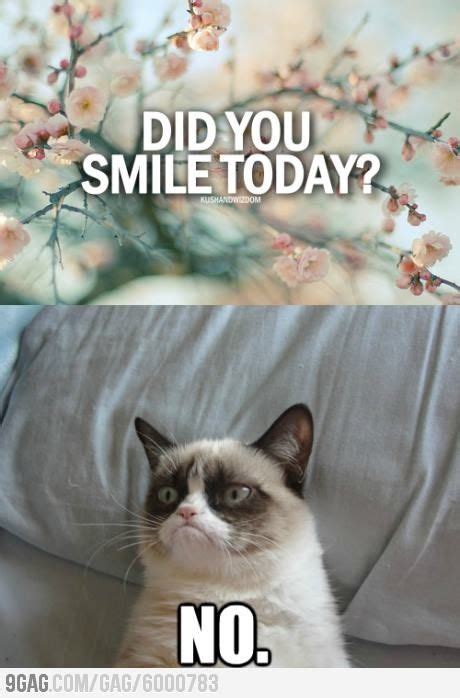 Pin By Lynnbromberg On Grumpy Cat😾 Cat Quotes Funny Grumpy Cat
