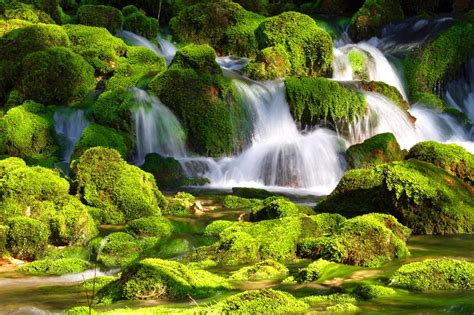 Nature Wallpapers Hd Desktop Images Amazing Views Green Clean