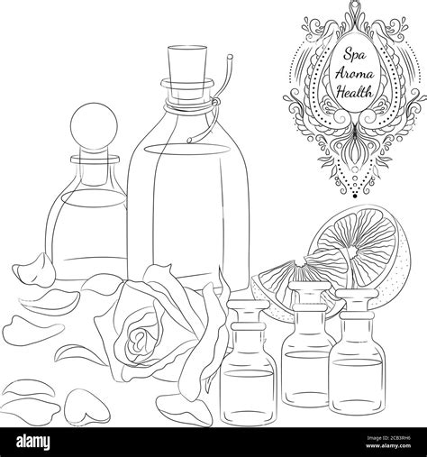 illustration vectorielle avec huiles et huiles aromatiques pour le massage au spa dessin au