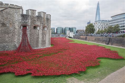 Tower Of London Poppies Mirror Online