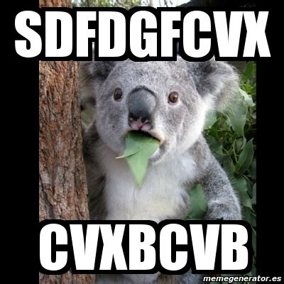 Meme Koala Sdfdgfcvx Cvxbcvb 1420432