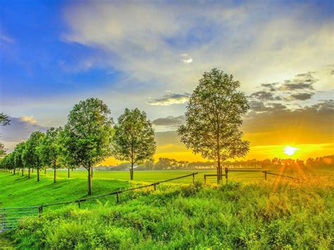 Golden Sunset On The Green Field Hd Desktop Wallpaper Widescreen