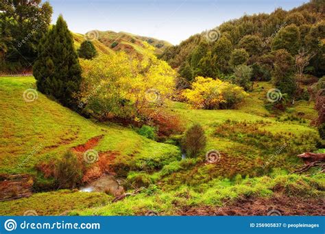 Scenic Autumn Valley In The New Zealand Landscape A Valley In New