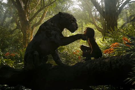 ‘mowgli Review Welcome To The Jungle Book Rolling Stone