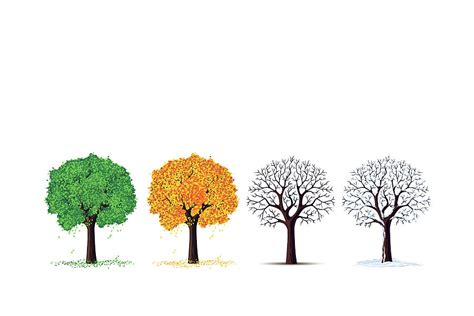 Seasons Trees Photograph By Munir Alawi Pixels