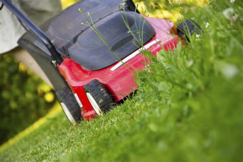 ‍ is starting a lawn care business worth it? 10 Pros And Cons of Starting a Lawn Care Business - A 2020 ...