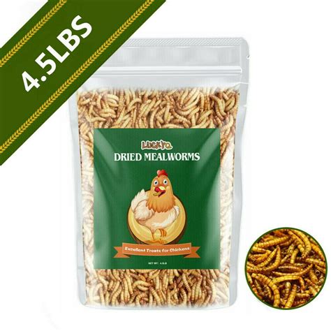 45lb Dried Mealworms For Chickens Chicken Treats Duck Feed Organic