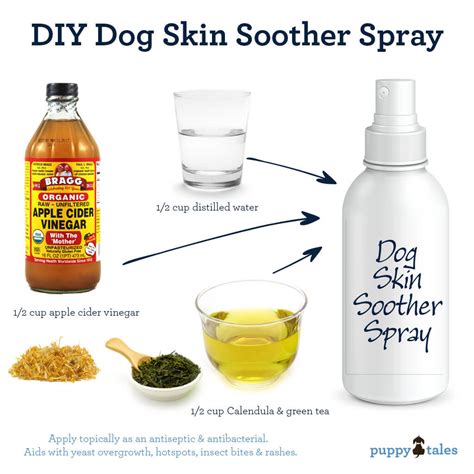 Skin Savers 5 Natural Ways To Improve Your Dogs Pores And Fur
