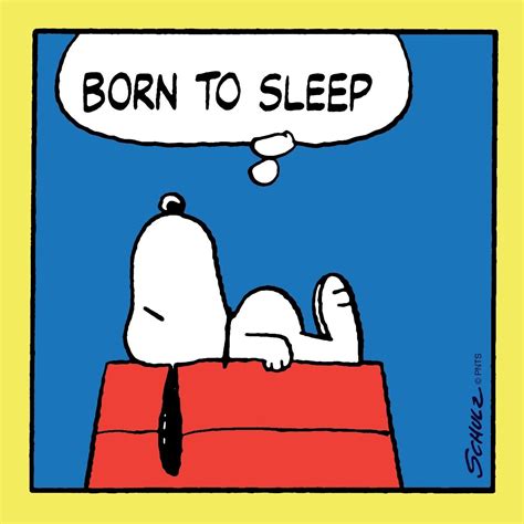 This Is What I Was Born To Do Snoopy Funny Goodnight Snoopy Snoopy Love