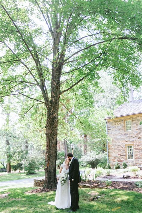 Bride And Groom Steal A Kiss Under Our Centuries Old Maple Tree Photo