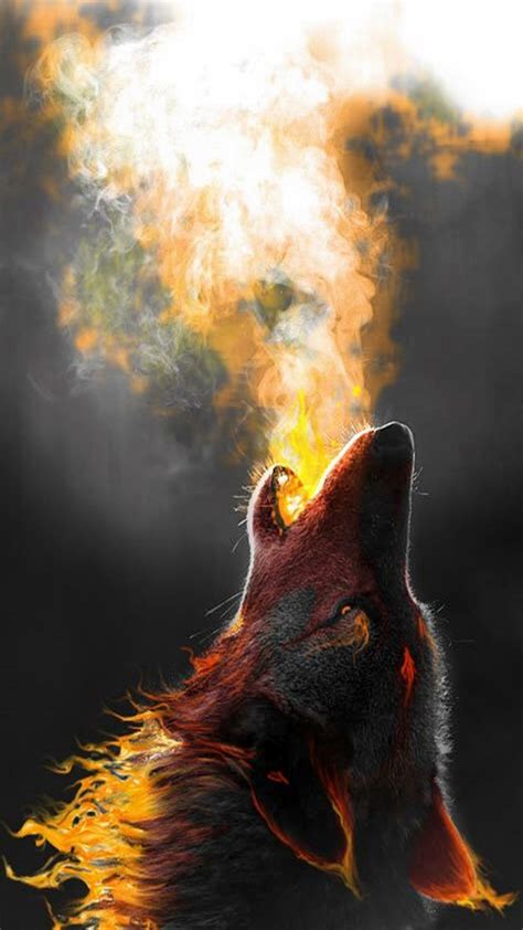 66 Fire Wolf Wallpapers On Wallpaperplay