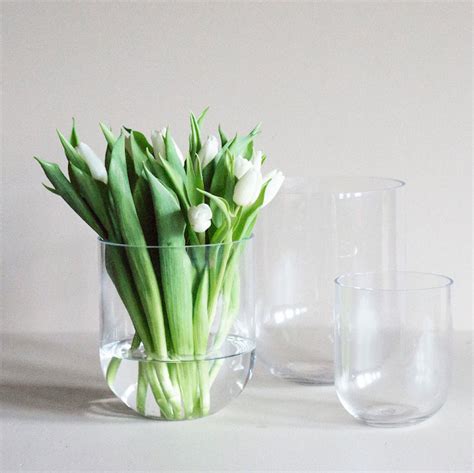 Simple Glass Vase 22 Cm Kaktus Interiør As