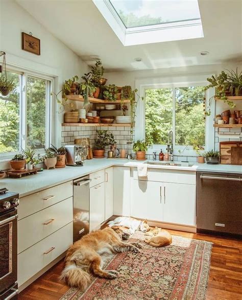 This Beauty Bright Kitchen Earthy Kitchen Cozy Kitchen Home Decor