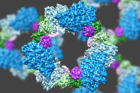 Scientists Deliver High Resolution Glimpse Of Enzyme Structure Mit