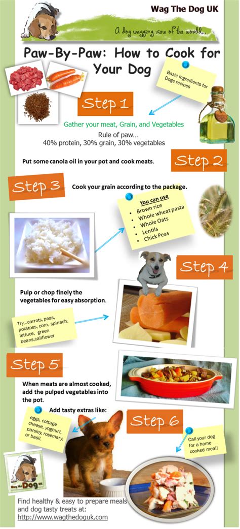 Homemade diabetic dog treat recipe. Infograph: Paw-By-Paw - How to Cook for Your Dog in 6 Easy ...