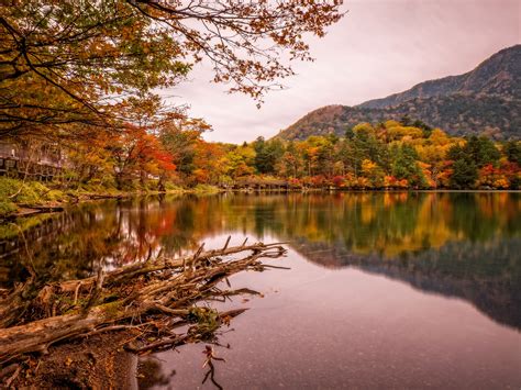 Wallpaper Japan Nikko Park Trees Bridge Lake Autumn 3840x2160 Uhd