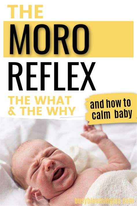 The Moro Reflex Uncovered Everything You Need To Know Help Baby
